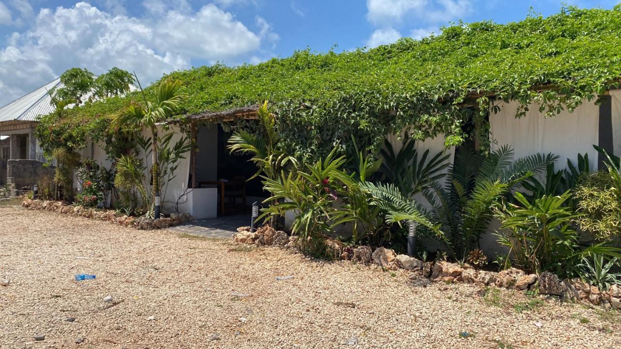 Cactus Lodge Zanzibar Nungwi Esterno foto