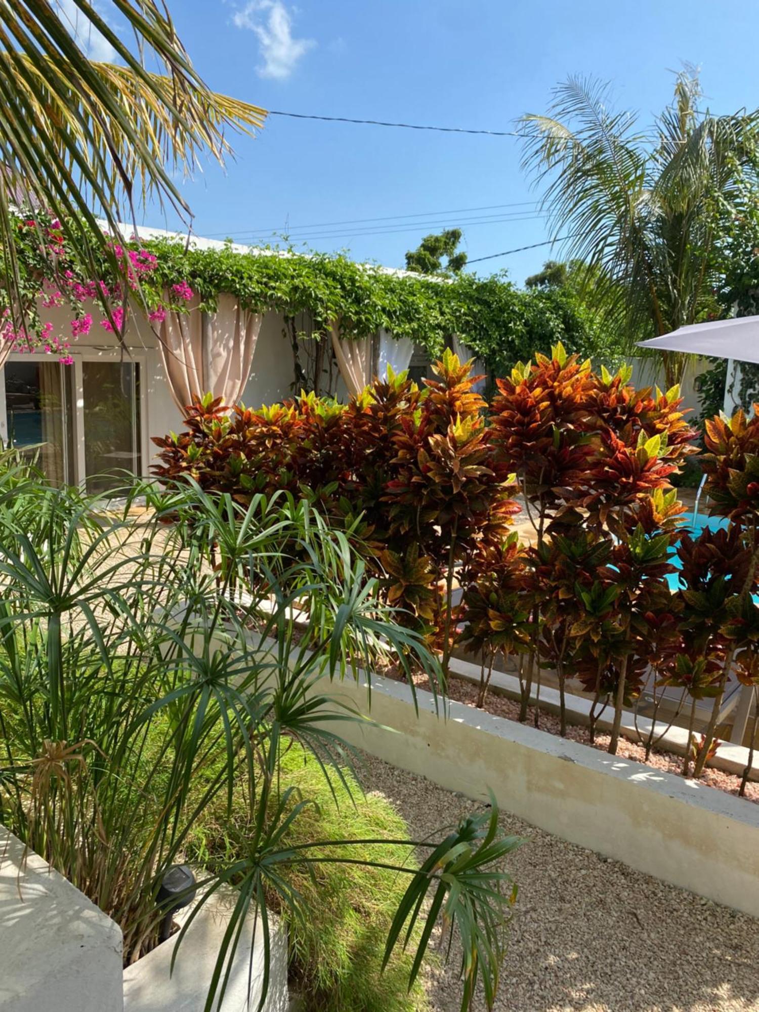 Cactus Lodge Zanzibar Nungwi Esterno foto